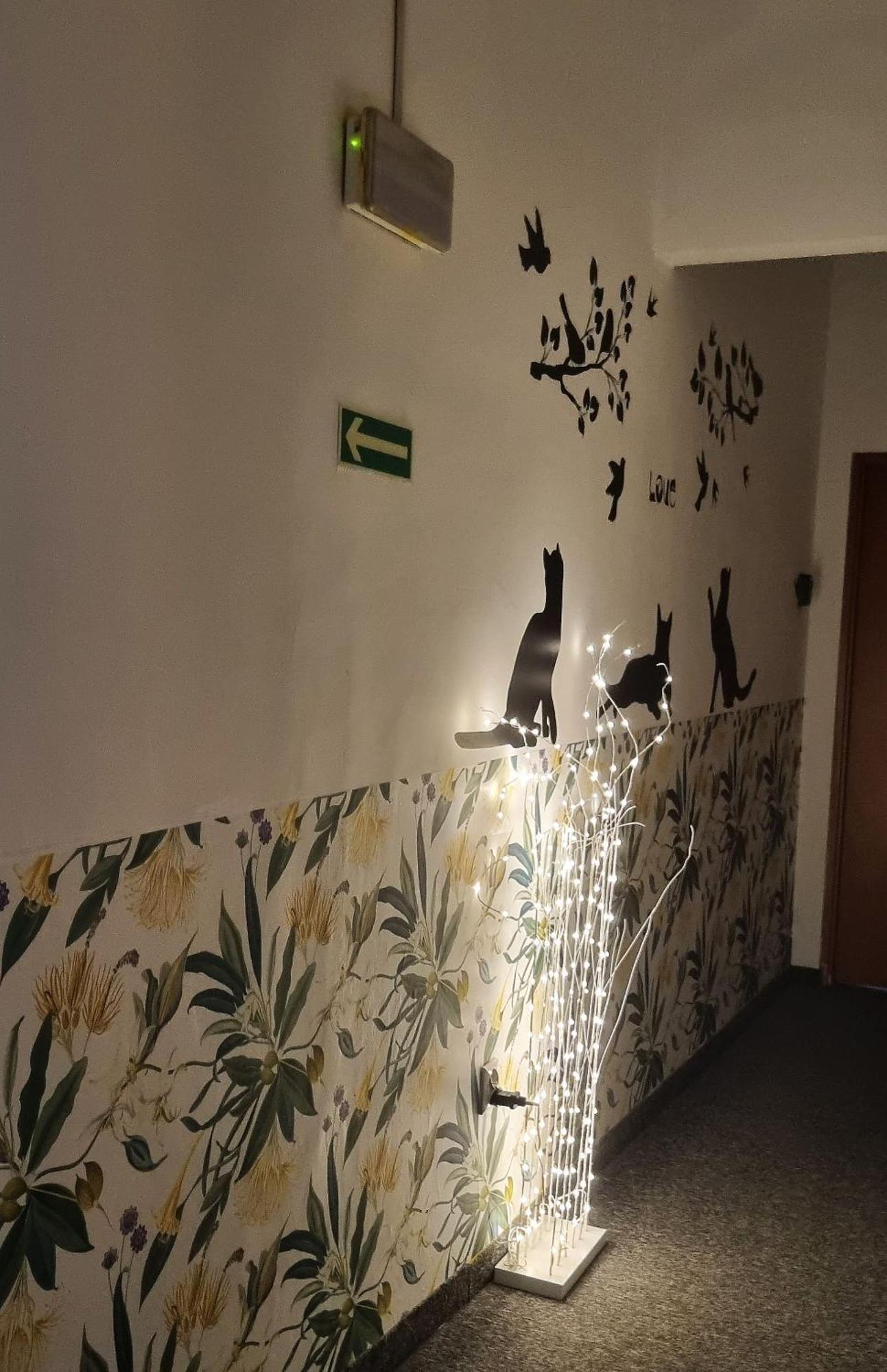 Cat Hostel Kraków